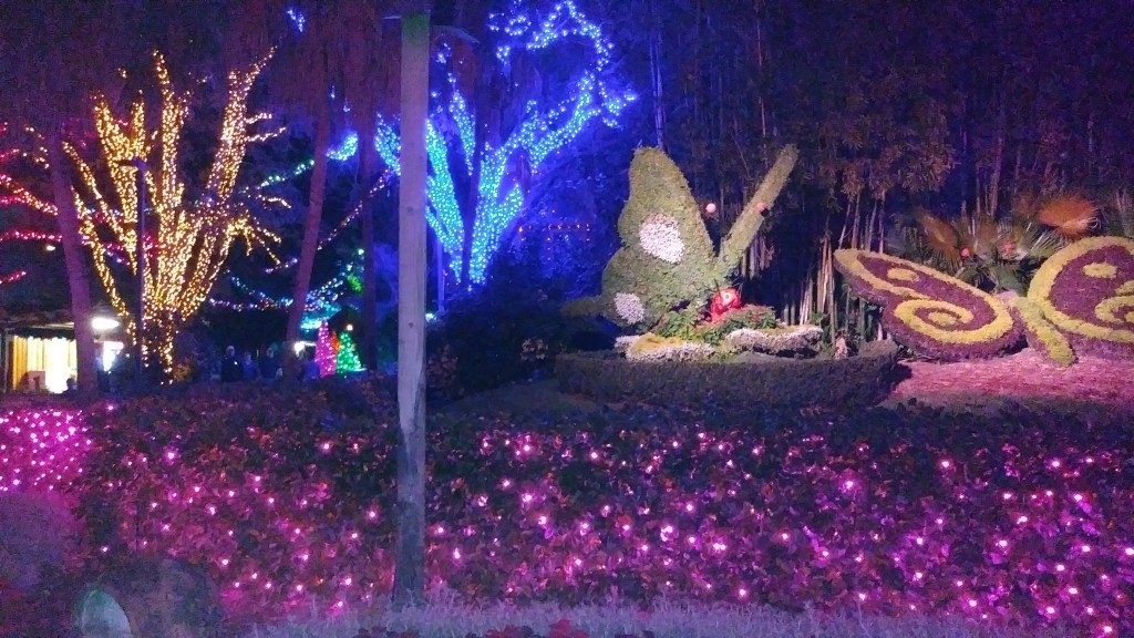 Busch Gardens Tampa Christmas
