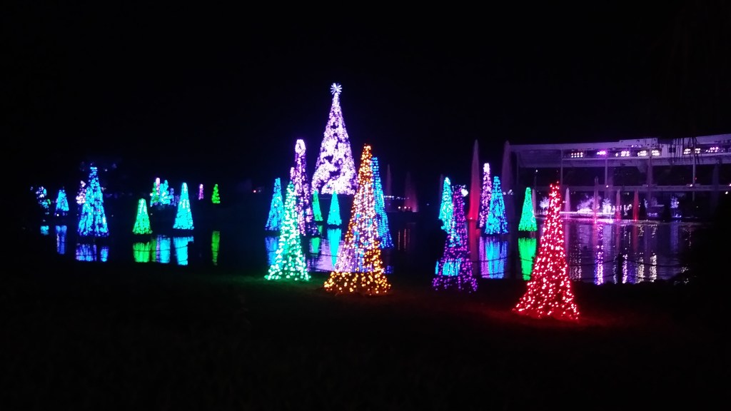 Sea of Trees at Seaworld