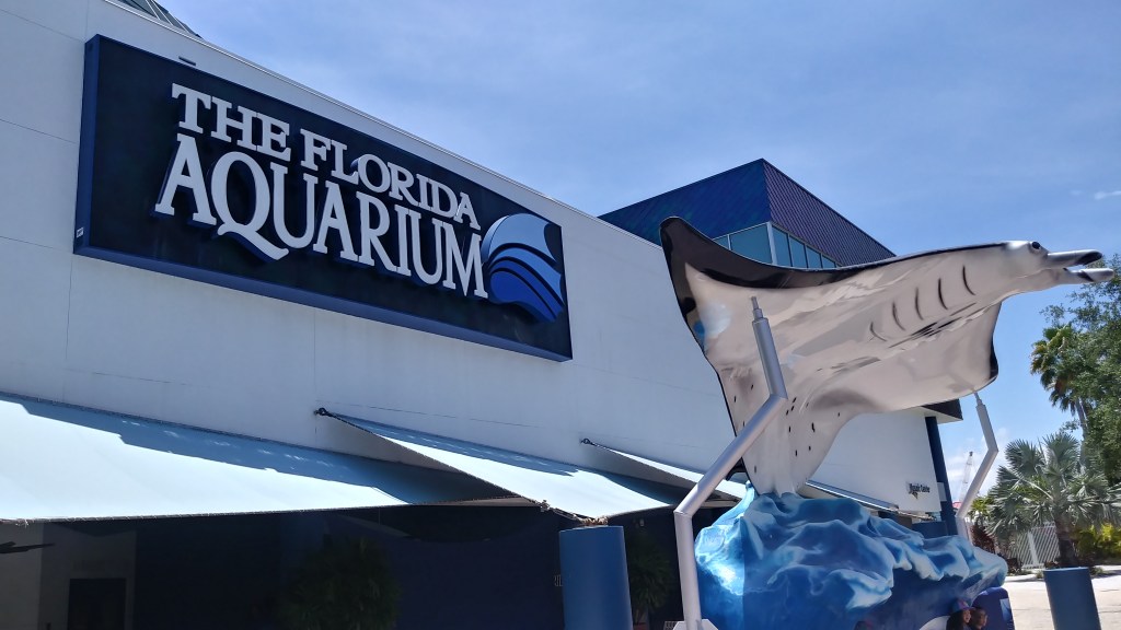 Homes near the Florida Aquarium